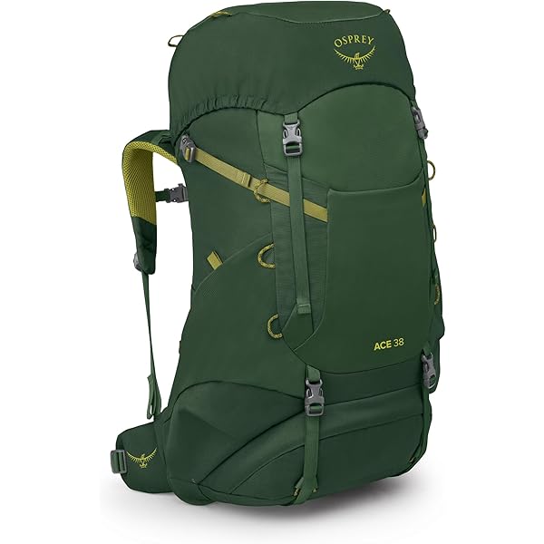 Amazon.com : Osprey Jet 28L Kid's Hiking Backpack, Green Canopy